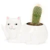 Unisex Ripndip Lord Nermal Ceramic Planter