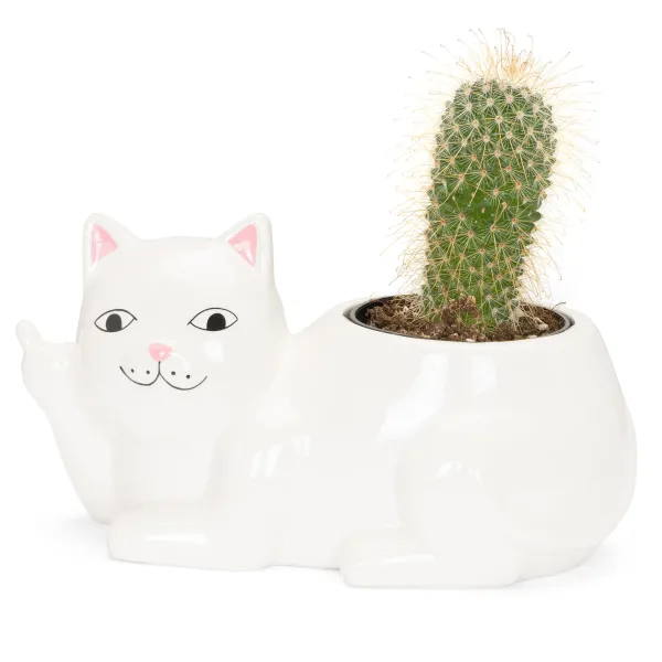 Unisex Ripndip Lord Nermal Ceramic Planter
