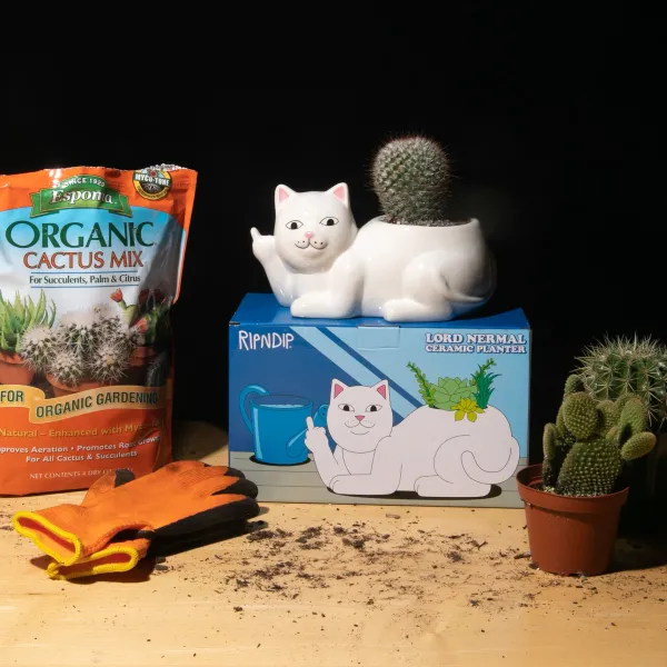 Unisex Ripndip Lord Nermal Ceramic Planter