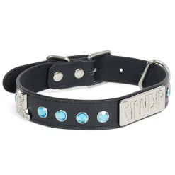Unisex Ripndip Lord Nermal Studded Pet Collar