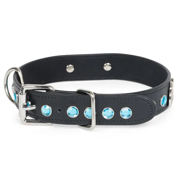 Unisex Ripndip Lord Nermal Studded Pet Collar
