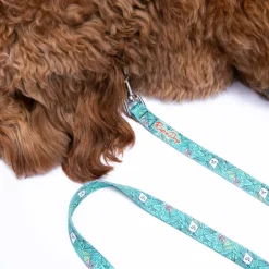 Unisex Ripndip Nermal Leaf Pet Leash
