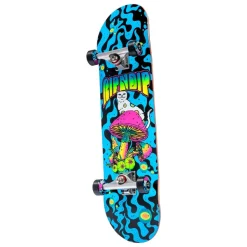 Unisex Ripndip Psychedelic Complete Skateboard