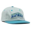 Unisex Ripndip Team Spirit 6 Panel Hat